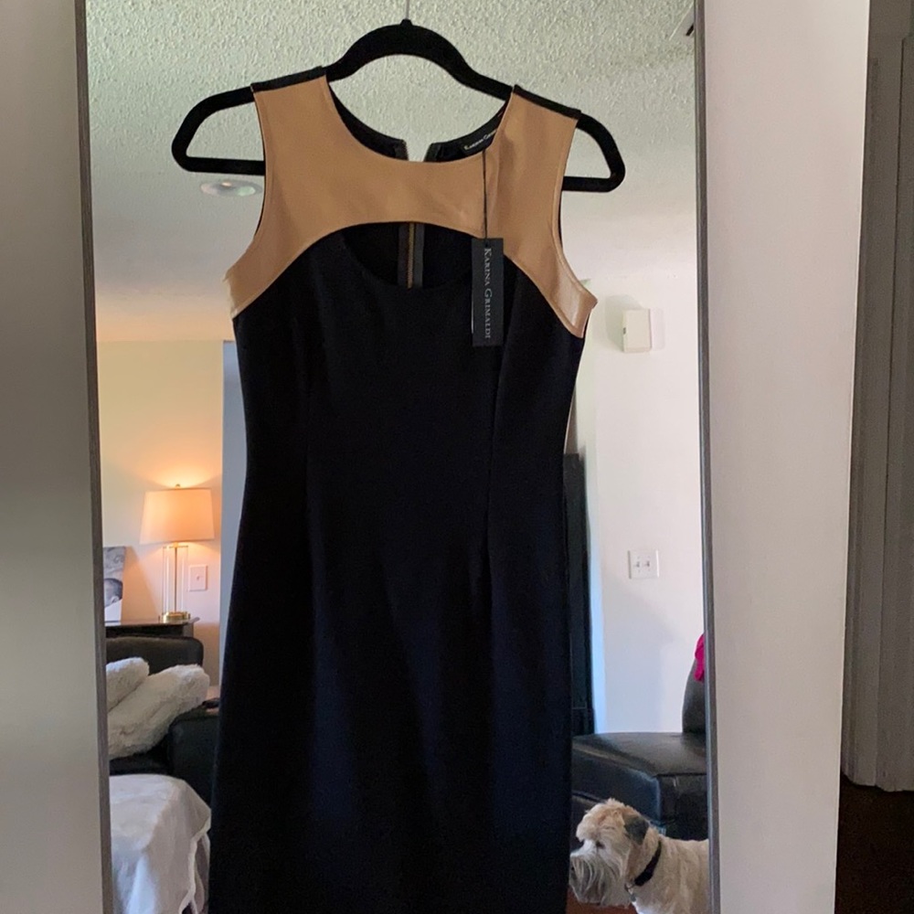 Black And Camel Dress